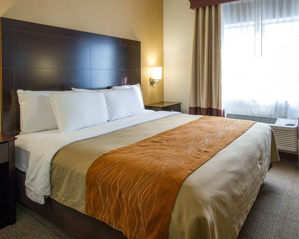 Comfort Inn & Suites Paw Paw Chambre photo